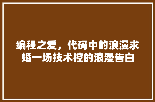 编程之爱，代码中的浪漫求婚一场技术控的浪漫告白