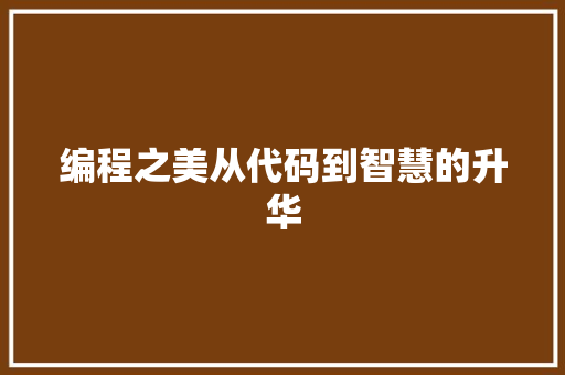 编程之美从代码到智慧的升华