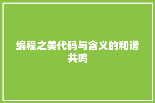 编程之美代码与含义的和谐共鸣