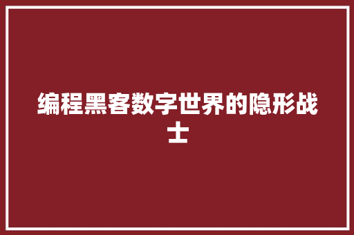 编程黑客数字世界的隐形战士