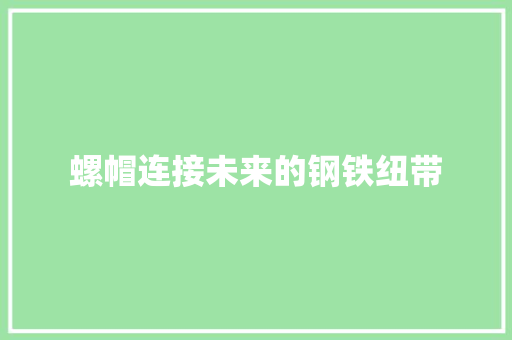 螺帽连接未来的钢铁纽带