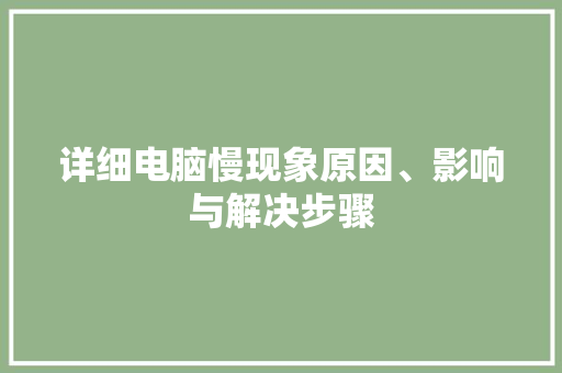详细电脑慢现象原因、影响与解决步骤