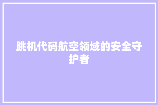 跳机代码航空领域的安全守护者