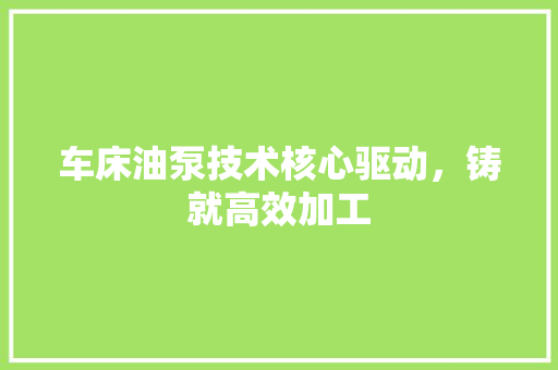 车床油泵技术核心驱动，铸就高效加工
