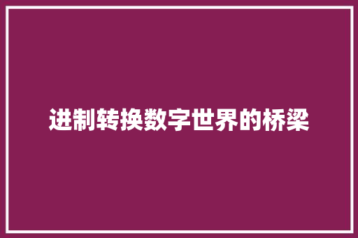 进制转换数字世界的桥梁