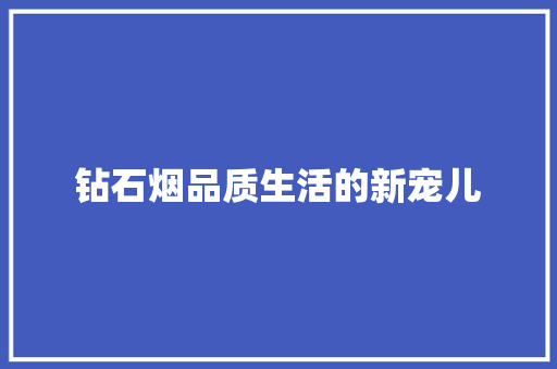 钻石烟品质生活的新宠儿