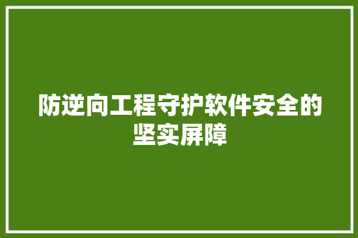 防逆向工程守护软件安全的坚实屏障