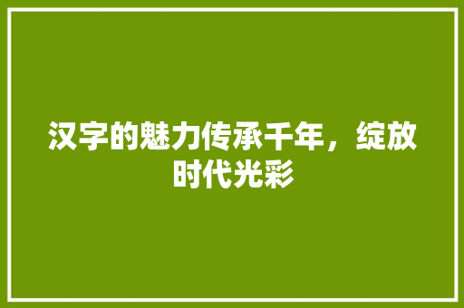 汉字的魅力传承千年，绽放时代光彩