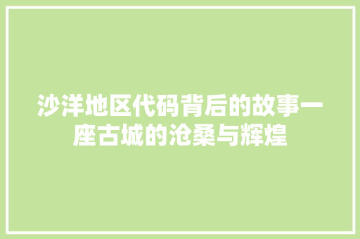 沙洋地区代码背后的故事一座古城的沧桑与辉煌