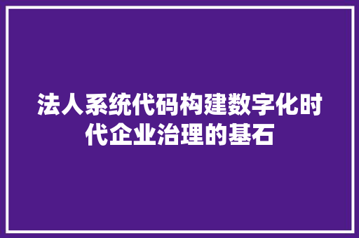 法人系统代码构建数字化时代企业治理的基石