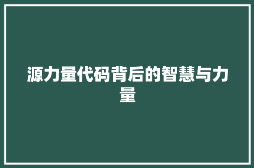 源力量代码背后的智慧与力量