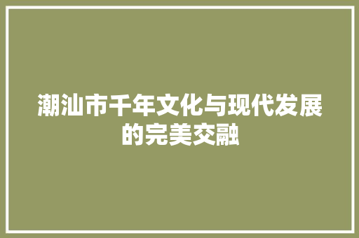 潮汕市千年文化与现代发展的完美交融