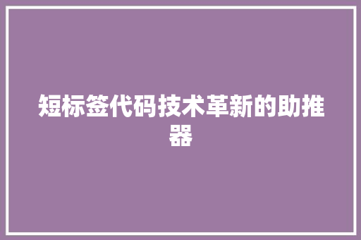 短标签代码技术革新的助推器