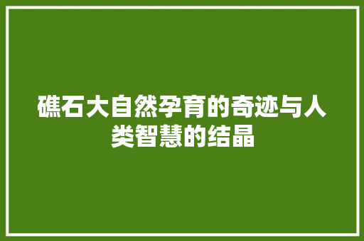 礁石大自然孕育的奇迹与人类智慧的结晶