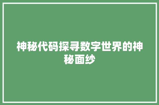 神秘代码探寻数字世界的神秘面纱