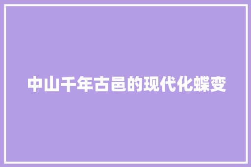 中山千年古邑的现代化蝶变