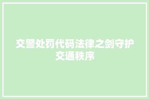 交警处罚代码法律之剑守护交通秩序