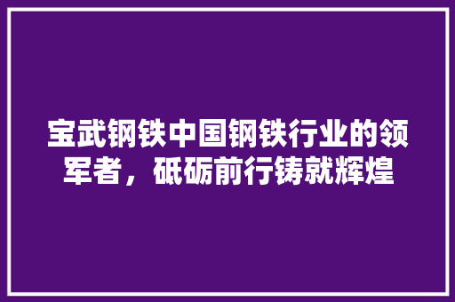 宝武钢铁中国钢铁行业的领军者，砥砺前行铸就辉煌