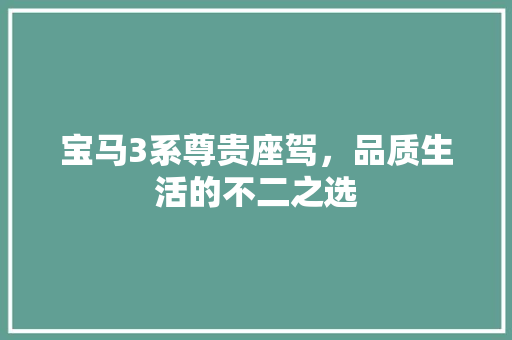 宝马3系尊贵座驾，品质生活的不二之选