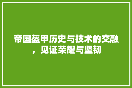 帝国盔甲历史与技术的交融，见证荣耀与坚韧
