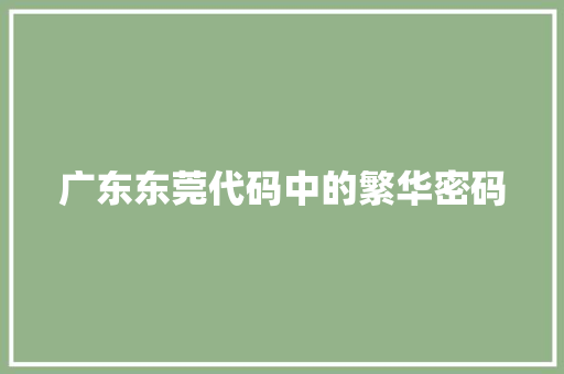 广东东莞代码中的繁华密码
