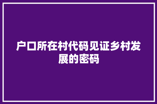 户口所在村代码见证乡村发展的密码