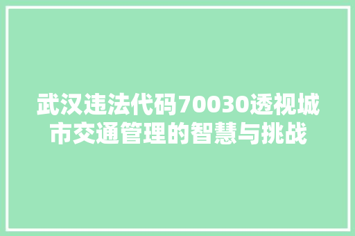 武汉违法代码70030透视城市交通管理的智慧与挑战