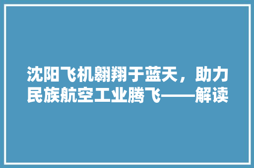 沈阳飞机翱翔于蓝天，助力民族航空工业腾飞——解读沈阳飞机股票代码背后的故事