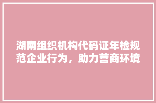 湖南组织机构代码证年检规范企业行为，助力营商环境优化