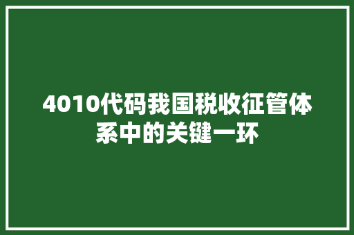 4010代码我国税收征管体系中的关键一环