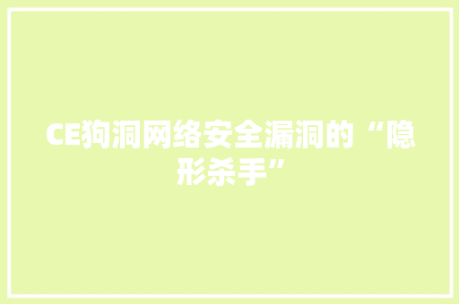 CE狗洞网络安全漏洞的“隐形杀手”
