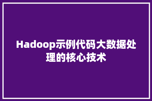 Hadoop示例代码大数据处理的核心技术