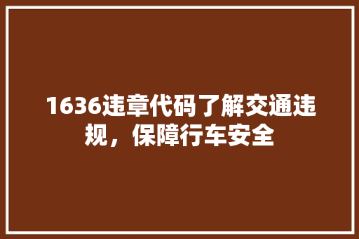 1636违章代码了解交通违规，保障行车安全
