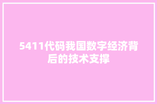5411代码我国数字经济背后的技术支撑