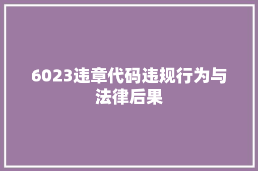 6023违章代码违规行为与法律后果