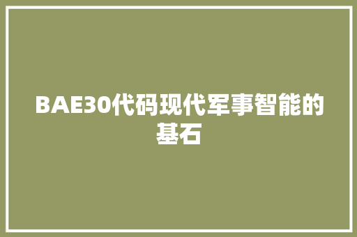 BAE30代码现代军事智能的基石