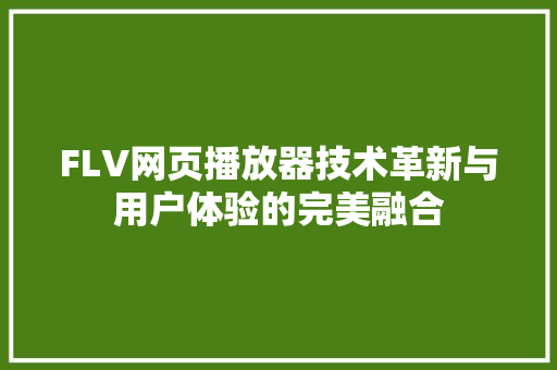 FLV网页播放器技术革新与用户体验的完美融合