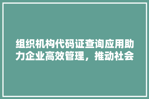 组织机构代码证查询应用助力企业高效管理，推动社会信用体系建设