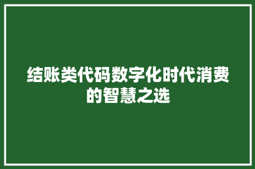 结账类代码数字化时代消费的智慧之选