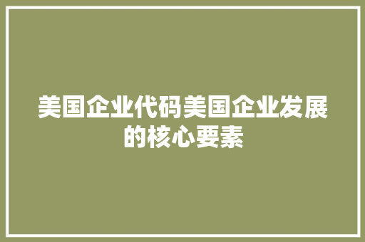 美国企业代码美国企业发展的核心要素