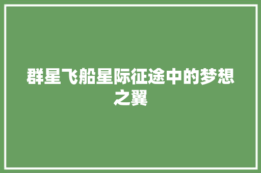 群星飞船星际征途中的梦想之翼