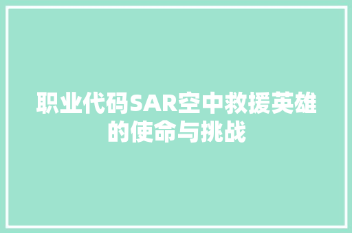 职业代码SAR空中救援英雄的使命与挑战