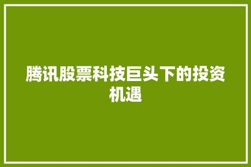 腾讯股票科技巨头下的投资机遇