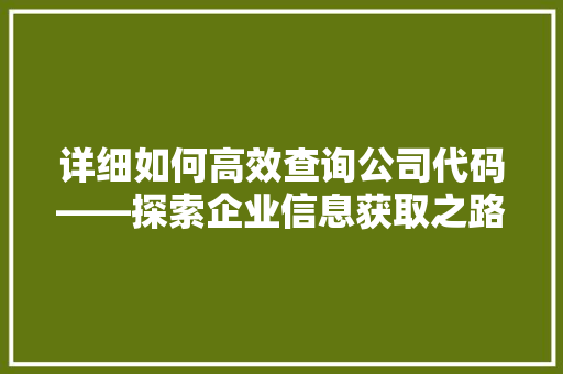 详细如何高效查询公司代码——探索企业信息获取之路