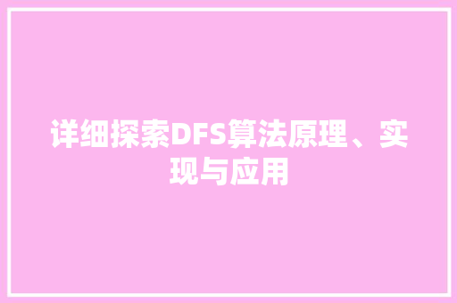 详细探索DFS算法原理、实现与应用