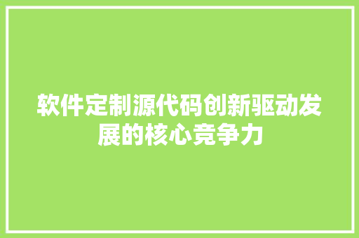 软件定制源代码创新驱动发展的核心竞争力