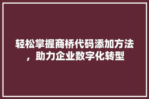 轻松掌握商桥代码添加方法，助力企业数字化转型