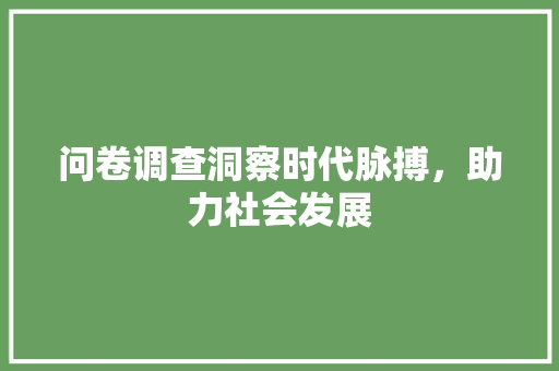 问卷调查洞察时代脉搏，助力社会发展