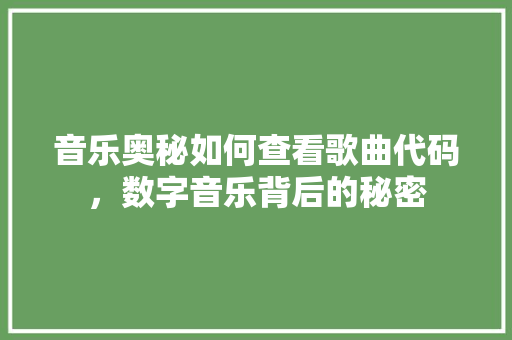 音乐奥秘如何查看歌曲代码，数字音乐背后的秘密