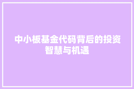 中小板基金代码背后的投资智慧与机遇